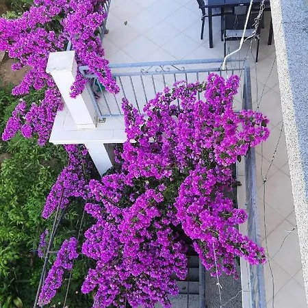 Tiki Vodice